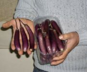 melenzane1.jpg