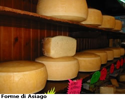 forme_asiago.jpg