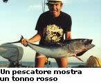 tonno_rosso.jpg