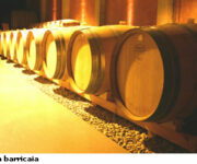 barrique.jpg