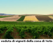 vigneti_noto.jpg