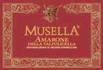 amaronemusella1.jpg