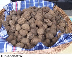 tartufo2.jpg