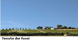 tenuta2_53.jpg