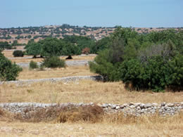 campagna2_dentro58.jpg