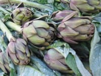 carciofi_dentro.jpg