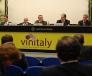 dsc_vinitaly.jpg