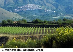 etna_dentro59.jpg