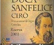 ducasanfelice.jpg
