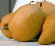 TORINO_limone_interdonato