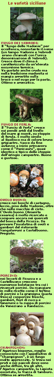 quadro_funghi_81.gif