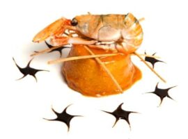 ricetta-flan-melenzane