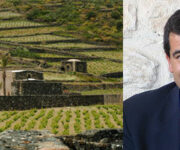 vigneto-cartanbellotta