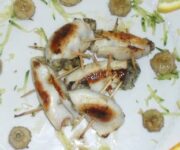calamari