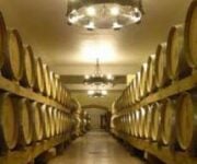 cantine_aperte_campania