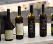 vinitaly-021