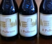 pollenza4