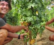 Vendemmia-Andrea-093