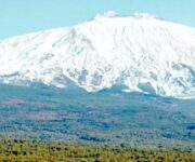 Etna-C_da-Difesa_jpeg-e1266966085685