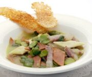 tacconcelli-bicolori