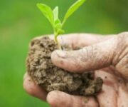 agricoltura-biologica