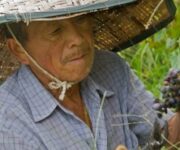 29CHNA-SHND-WINE-HUAD-dA10