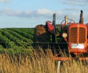 agricoltori