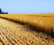 agricoltura_ndustriale_B03