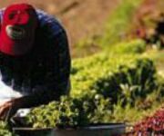 giovani_agricoltori