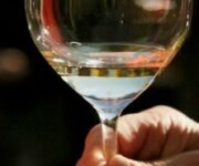 modalita-degustazione-giornate-riesling-alto-adige