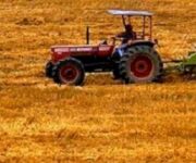 agricoltura-120710222404_medium