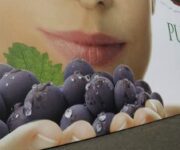 Esterno_Padiglione_Puglia