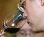 bordeaux_vin_degustation_0