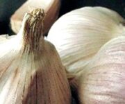 presidio_slow_food_aglio_rosso_di_nubia-660×494