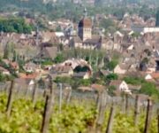 Beaune_from_the_vineyards_Beaune