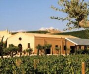 Contessa_Entellina_Estate