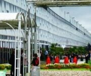 bordeauxgiannititolo