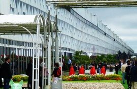 bordeauxgiannititolo