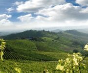langhe