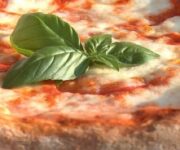 pizza-margherita_0