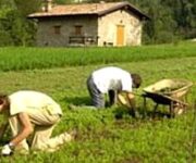 ragazzi_agricoltura