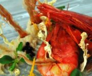 Code_di_crostacei_su_passatina_