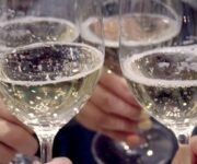 moscato-defense-promo