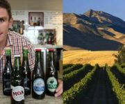 nuovazelandabirravsvino