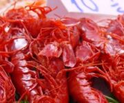 GAMBERO-ROSSO-SICILIA