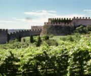 Soave_-_Il_Castello_con_i_Vigneti_