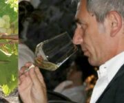 danielelaboratoriosolfiti