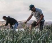 agricoltura_familiare