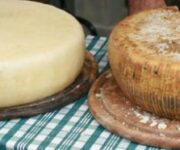 formaggiMottaCamastra