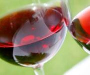 vinosalute